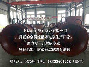 探索流體世界的隱秘力量 潛水貫流泵、全貫流閘門泵、燈泡泵與臥式全貫流泵技術(shù)解析